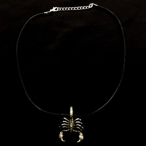 May include: A silver scorpion pendant necklace with a black cord.