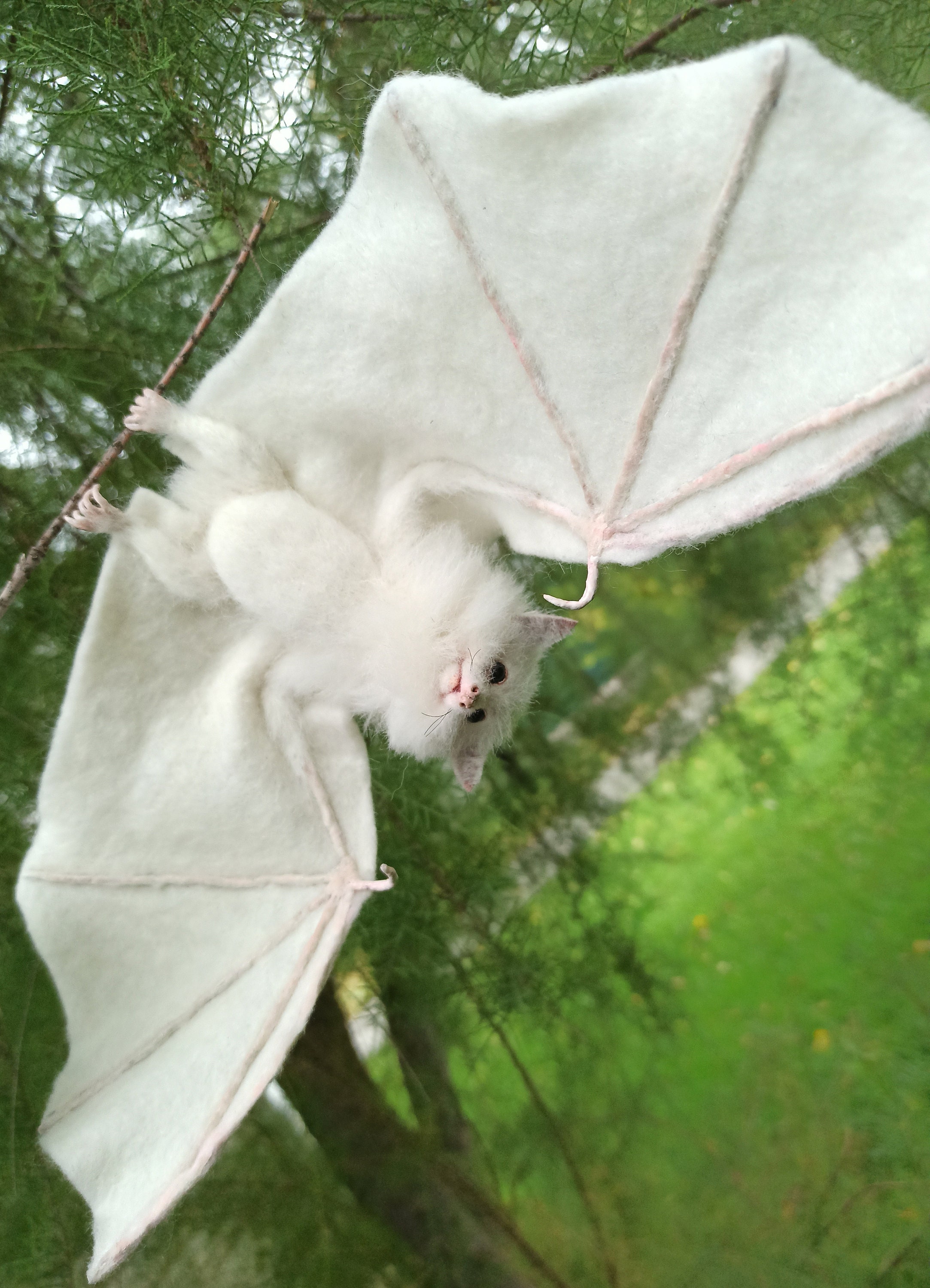 White Bat miniature/Halloween/Flying Fox/Black bat/Pet Etsy