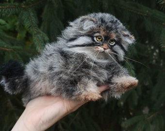 Pallas's cat/Woolen miniature /Manul/wild cat/Felted Miniature/Animal Sculpture Portrait/Pet portrait Custom Order/Wool Ooak sculpture