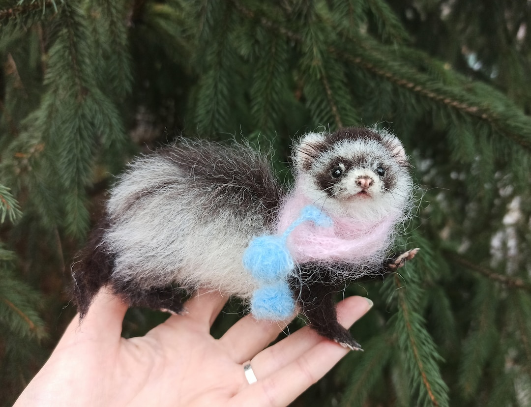 Ferret bedding top by jules