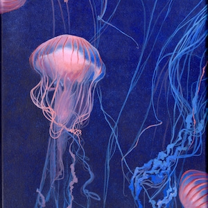 Jellyfish (pink & indigo), Giclee fine art print on 290gsm 100% cotton paper, from original oil painting by Emily Lee