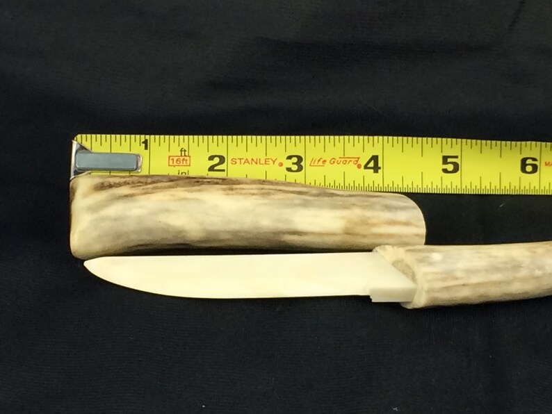 elk antler bone