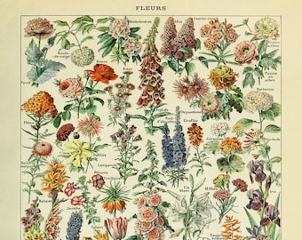 flower poster etsy