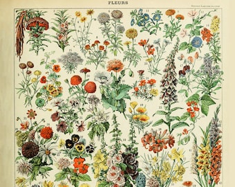 flower poster etsy