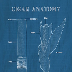 cigarette anatomy Schematic of a typical cigarette, showing the primary components Cigar Anatomy Chart - Etsy