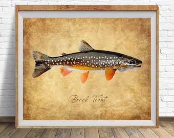 Brook Trout Poster, Vintage Fish Print, Fly Fishing Decor, Trout Print, Gifts for Fisherman, Fathers Day Gift, Man Cave #vi1827