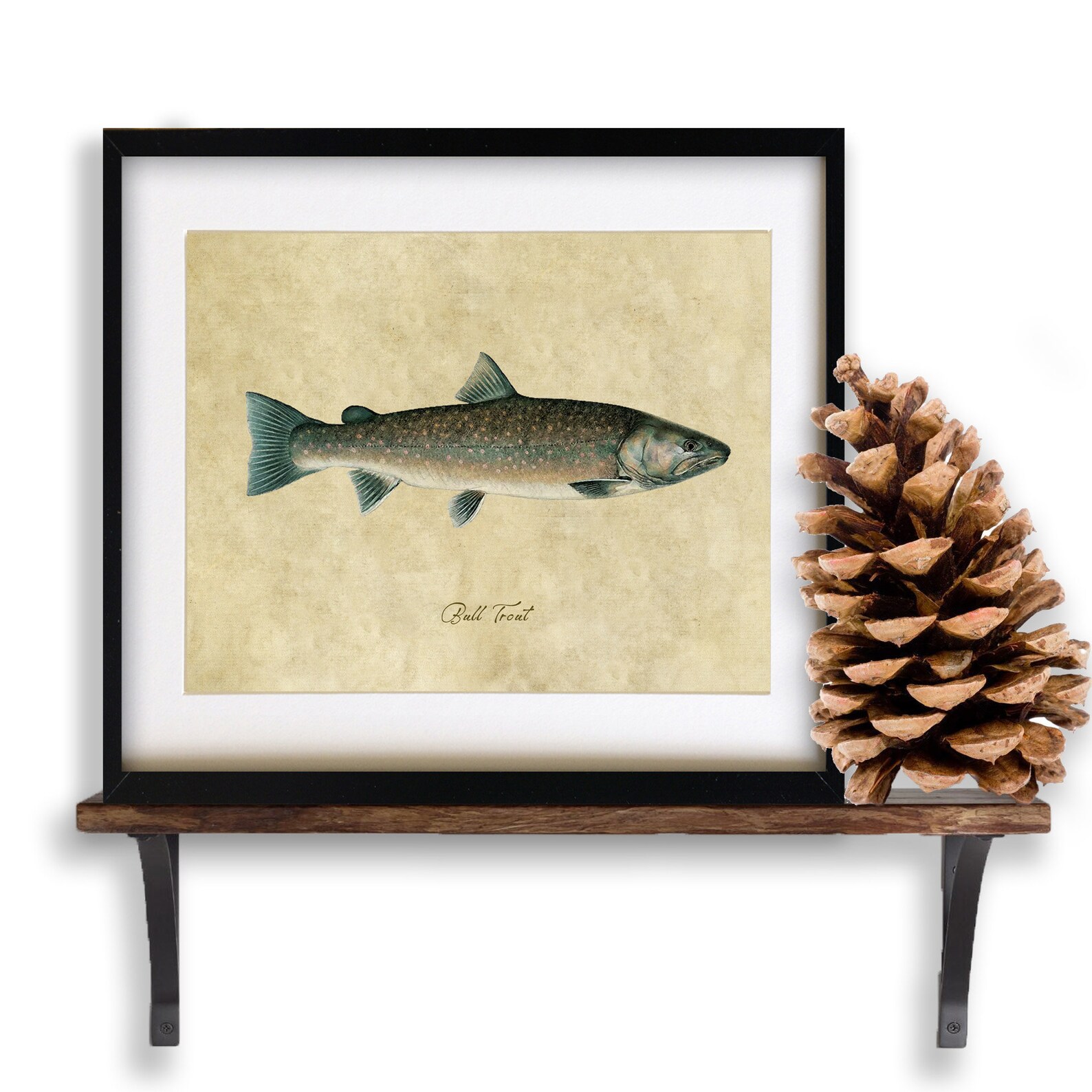 Bull Trout Art Fishing Poster Trout Print Gifts for Etsy