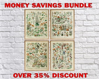 Juego de 4 impresiones botánicas vintage, póster de flores, impresiones botánicas francesas, descuento de venta #vi1202