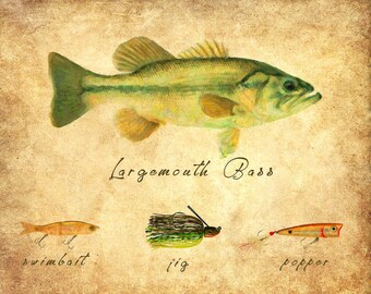 Largemouth Bass Art, Fishing Poster, Bass Fish Print, Gifts for Fisherman, Man Cave Decor Fathers Day #vi1055