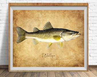Walleye Poster, Vintage Fish Print, Fishing Decor, Game Fish, Gifts for Fisherman, Fathers Day Gift, Man Cave, Walley Print #vi1831