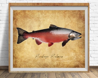 Sockeye Salmon Poster, Vintage Fish Print, Fishing Decor, Salmon Print, Gifts for Fisherman, Fathers Day Gift, Man Cave #vi1824