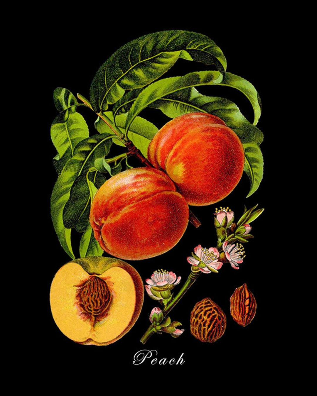 非売品！希少レア「PEACH TREE LEDディスプレイ」