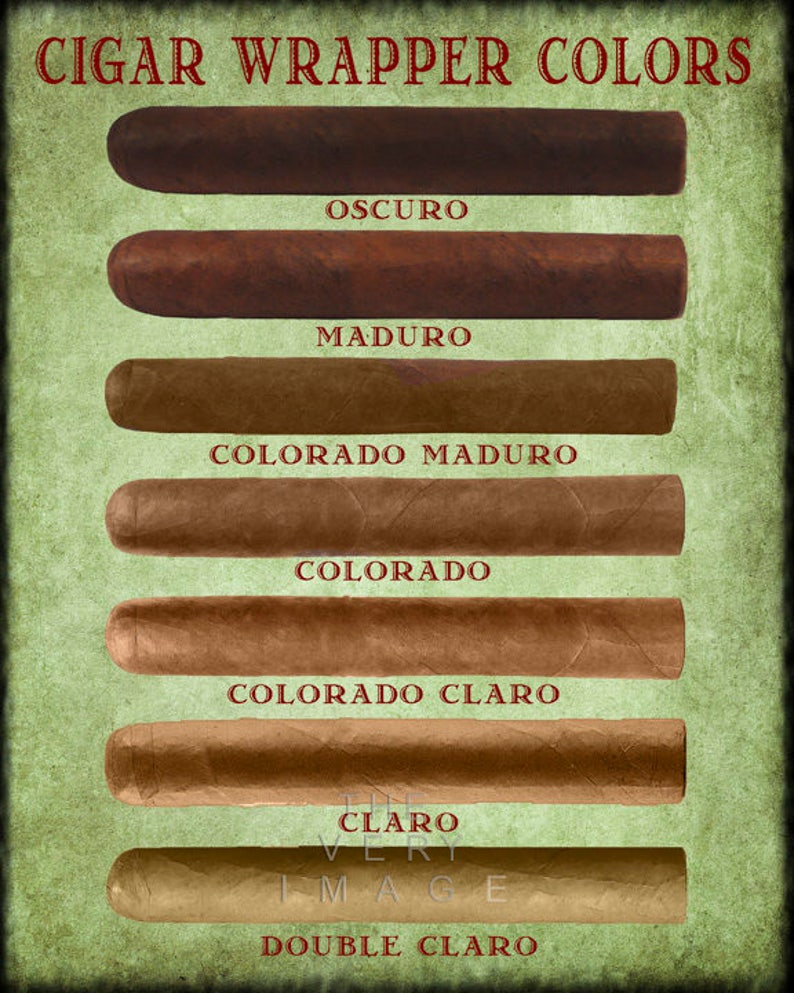 Cigar Art Cigar Wrapper Colors Chart Cigar Poster Tobacco Etsy