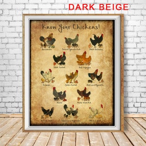 Chicken Breeds Chart Print - Vintage Poultry Print - Chicken Poster - Poultry Illustration Home Decor #vi342