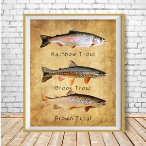 Rainbow Trout Poster, Brown Trout, Brook Trout, Fishing Decor, Trout Print, Gifts for Fisherman, Fathers Day Gift, Man Cave #vi1822