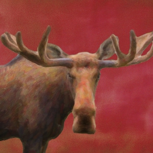 Vintage Moose Print, Moose Poster, Wildlife Art, Moose Art, Rustic Decor, Shabby Chic, Antique Wall Art #vi1205