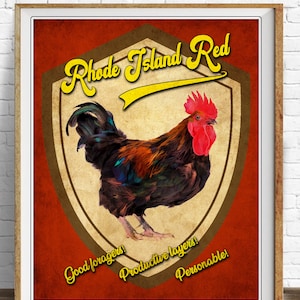 Vintage Chicken Poster, Rhode Island Red Print, Backyard Chicken Print, Chicken Breeds Print, Poultry Art #vi1486