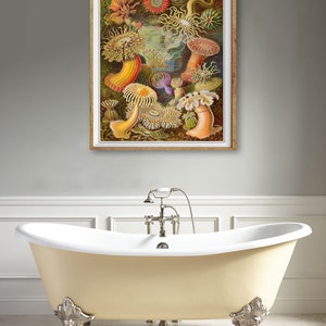 Ocean Art Print, Anemone Poster, Ernst Haeckel Print Bathroom Decor Beach House Decor Marine Art Wall Art #vi1256 image 2
