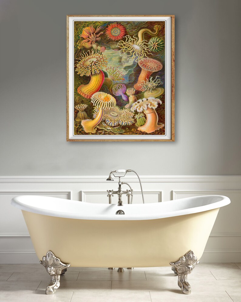 Ocean Art Print, Anemone Poster, Ernst Haeckel Print Bathroom Decor Beach House Decor Marine Art Wall Art #vi1256 image 2