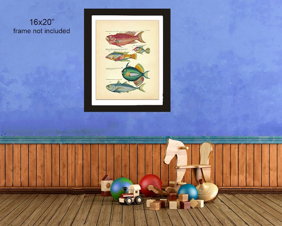 Vintage Fish Print, Colorful Fish Art, French Bookplate, Fish