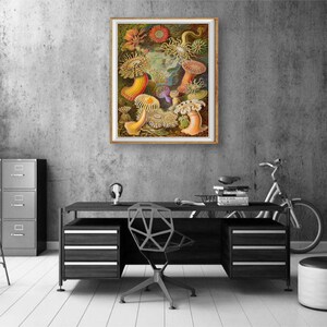Ocean Art Print, Anemone Poster, Ernst Haeckel Print Bathroom Decor Beach House Decor Marine Art Wall Art #vi1256 image 5