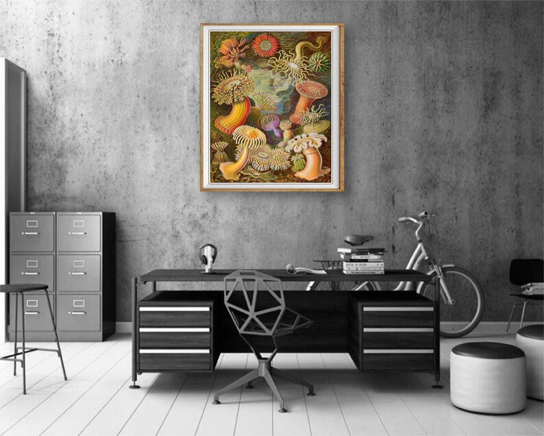 Ocean Art Print, Anemone Poster, Ernst Haeckel Print Bathroom Decor Beach House Decor Marine Art Wall Art #vi1256 image 5