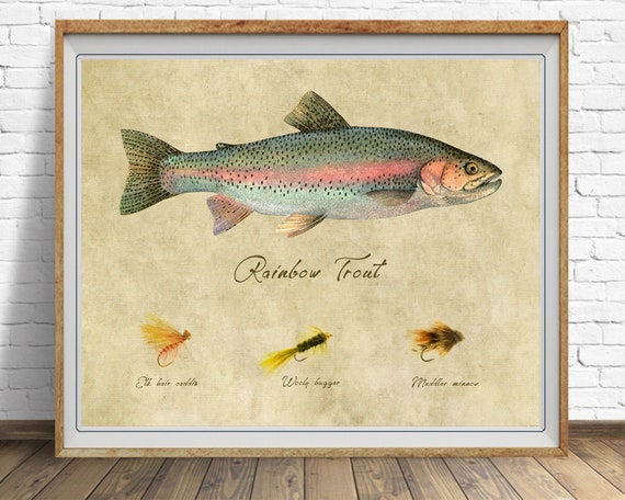 Rainbow Trout Art, Fishing Poster, Trout Print Gifts for Fisherman