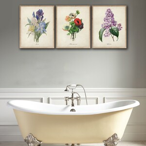 May include: Three framed botanical prints featuring a blue iris, a bouquet of red and white anemones, and a purple lilac. The prints are hung on a gray wall above a white clawfoot bathtub.