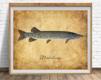 Muskellunge Poster, Muskie Print, Vintage Fish Print, Fishing Decor, Muskie Art, Gifts for Fisherman, Fathers Day Gift, Man Cave #vi1832