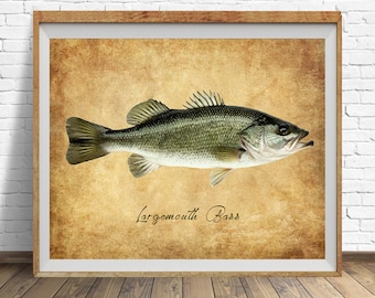 Largemouth Bass Poster, Vintage Fish Print, Fishing Decor, Bass Print, Gifts for Fisherman, Fathers Day Gift, Man Cave #vi1825