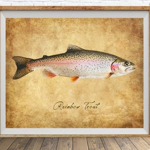 Rainbow Trout Poster, Vintage Fish Print, Fly Fishing Decor, Trout Print, Gifts for Fisherman, Fathers Day Gift, Man Cave #vi1821