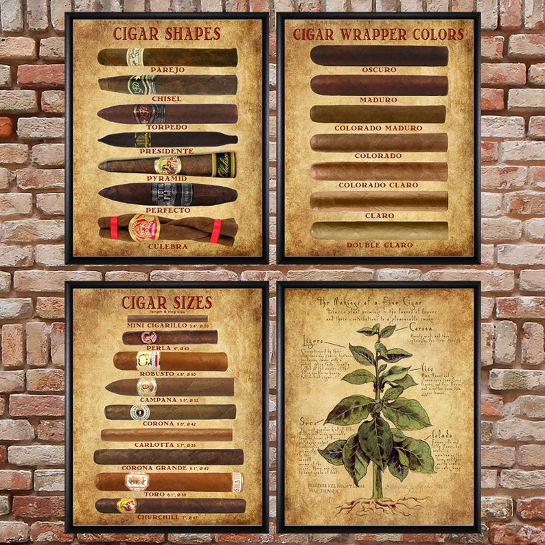 Cigar Shapes Chart