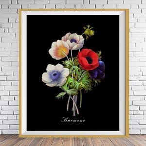 May include: A framed botanical illustration of a bouquet of white, red, and blue anemones on a black background. The text "Anemone" is printed below the flowers.