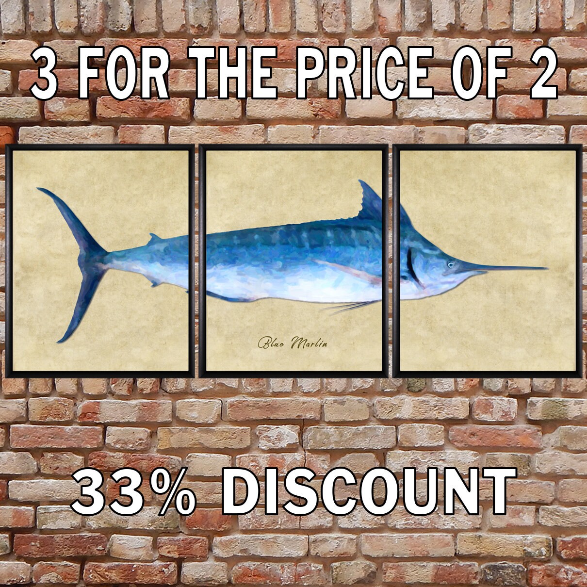 Blue Marlin Fish Price Ubicaciondepersonas cdmx gob mx blue-marlin-fish-price-ubicaciondepersonas-cdmx-gob-mx