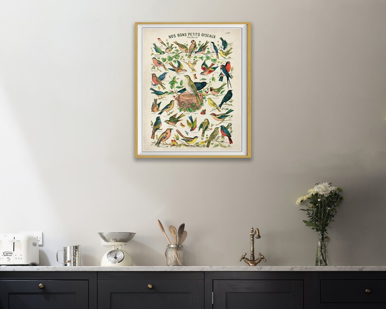 Puede incluir: Gr&aacute;fico educativo vintage que presenta una colecci&oacute;n de p&aacute;jaros coloridos, titulado "Nos Bons Petits Oiseaux". El gr&aacute;fico representa varias especies de p&aacute;jaros en un entorno natural, con algunos posados en ramas y otros en vuelo.