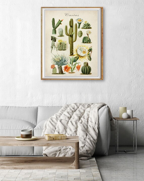 Vintage Cactus Poster, Cactus Print, Vintage Botanical Print, Succulent  Print, Home Decor Wall Art #vi1535 - Etsy