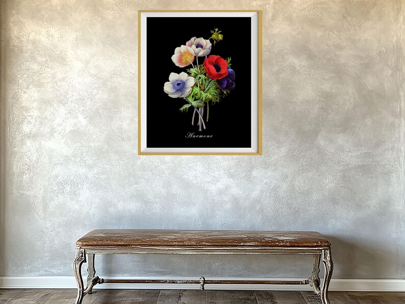 May include: A black and white botanical illustration of a bouquet of white, red, and blue anemones with the word "Anemone" printed below the flowers.