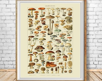 Vintage Mushroom Poster, French Mushroom Print, Botanical Print, Mushroom Art Home Decor Wall Art #vi1014