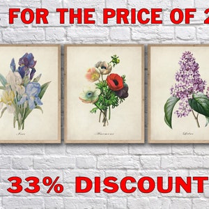 May include: Three vintage botanical prints featuring a bouquet of irises, anemones, and lilacs. The prints are framed in a simple brown frame and have a white background. The text "3 FOR THE PRICE OF 2" is displayed above the prints, and the text "33% DISCOUNT" is displayed below the prints.