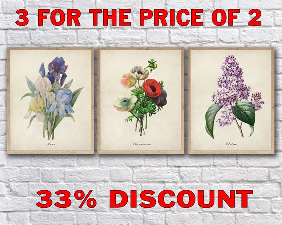 Set of 3 Botanical Prints with Beige Background - Iris Print, Anemone Print, Lilac Flower Poster Wall Art #vi1538
