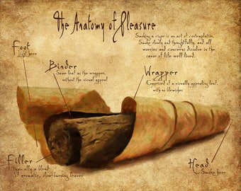 Cigar Art Leonardo Da Vinci Print Cigar Smoker Gifts Man Cave Decor Cigar Poster Fathers Day Wall Art #vi1040
