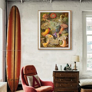 Ocean Art Print, Anemone Poster, Ernst Haeckel Print Bathroom Decor Beach House Decor Marine Art Wall Art #vi1256 image 3