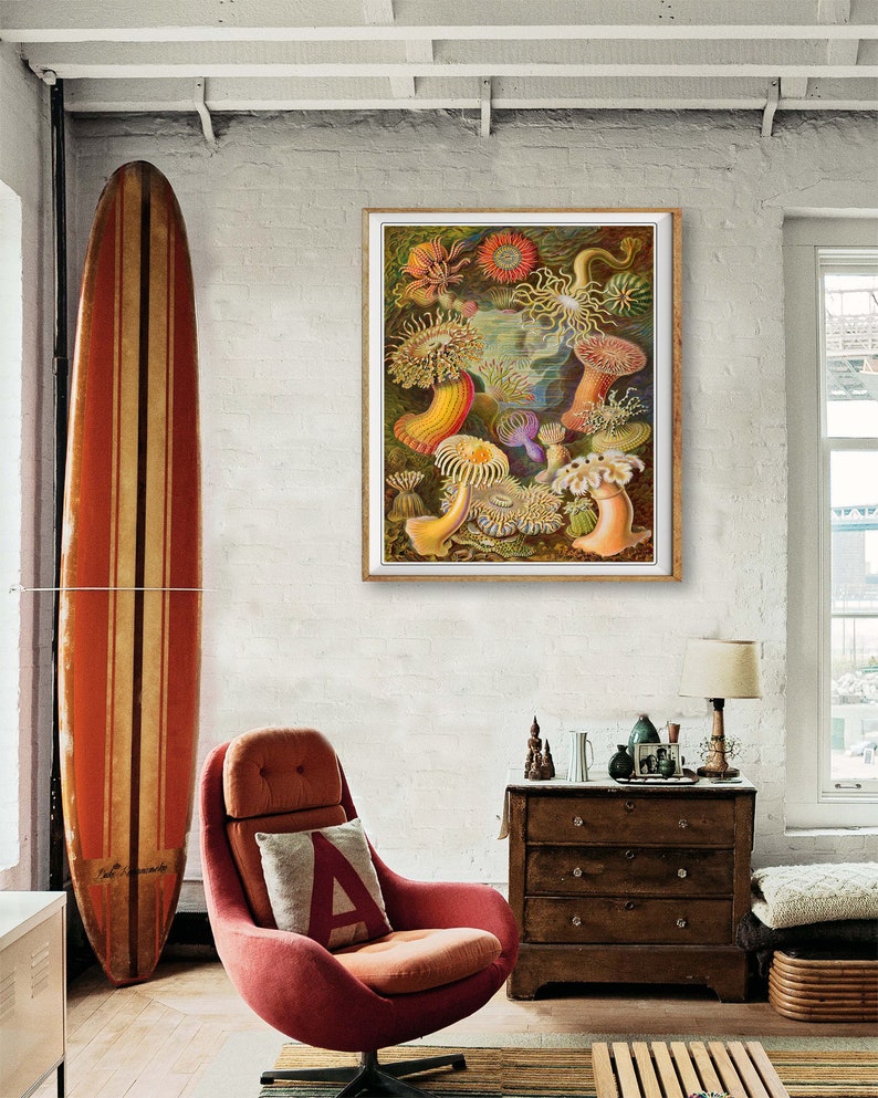 Ocean Art Print, Anemone Poster, Ernst Haeckel Print Bathroom Decor Beach House Decor Marine Art Wall Art #vi1256 image 3