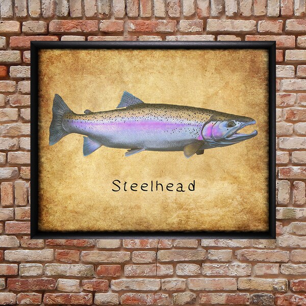 Steelhead Poster - Fish Print - Steelhead Print - Trout Fishing Poster Wall Art Decor Man Cave #vi274