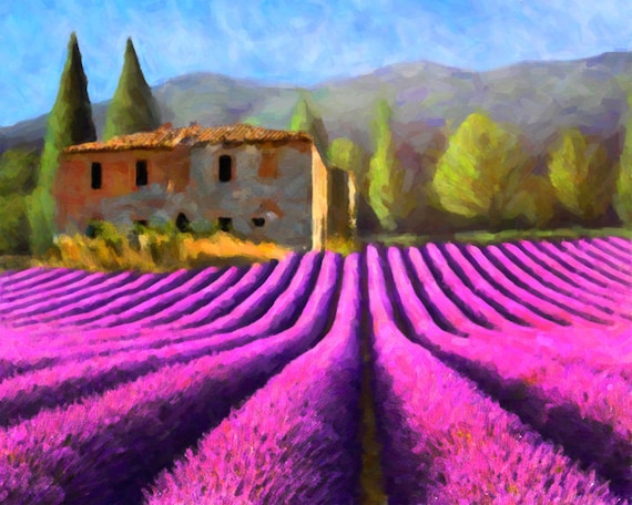 Lavender Farm Print - Italy Poster - Tuscany Art - Italy Decor