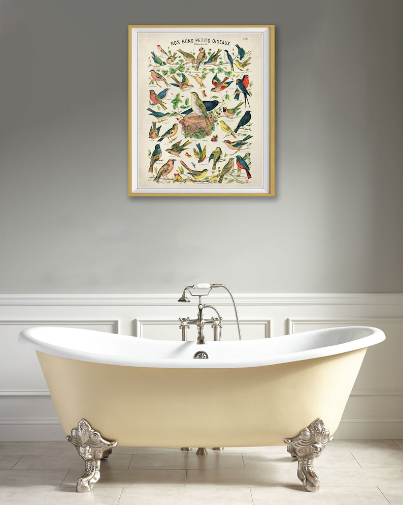 Puede incluir: Una ilustraci&oacute;n vintage de varias aves, titulada "Nos Bons Petits Oiseaux", enmarcada en un marco dorado y colgada en una pared gris sobre una ba&ntilde;era de color crema.