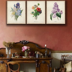 May include: Three vintage botanical prints framed in a simple white frame. The prints feature a blue iris, a red and white anemone, and a purple lilac. The prints are labeled "Iris", "Anemone", and "Lilac".