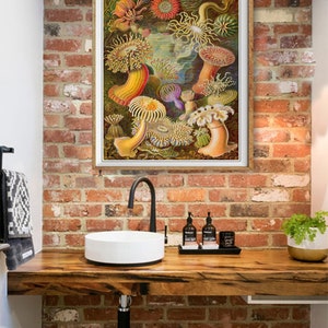 Ocean Art Print, Anemone Poster, Ernst Haeckel Print Bathroom Decor Beach House Decor Marine Art Wall Art #vi1256 image 4