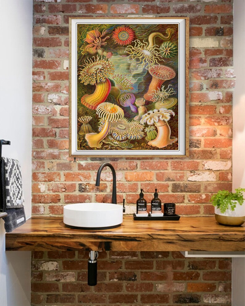 Ocean Art Print, Anemone Poster, Ernst Haeckel Print Bathroom Decor Beach House Decor Marine Art Wall Art #vi1256 image 4