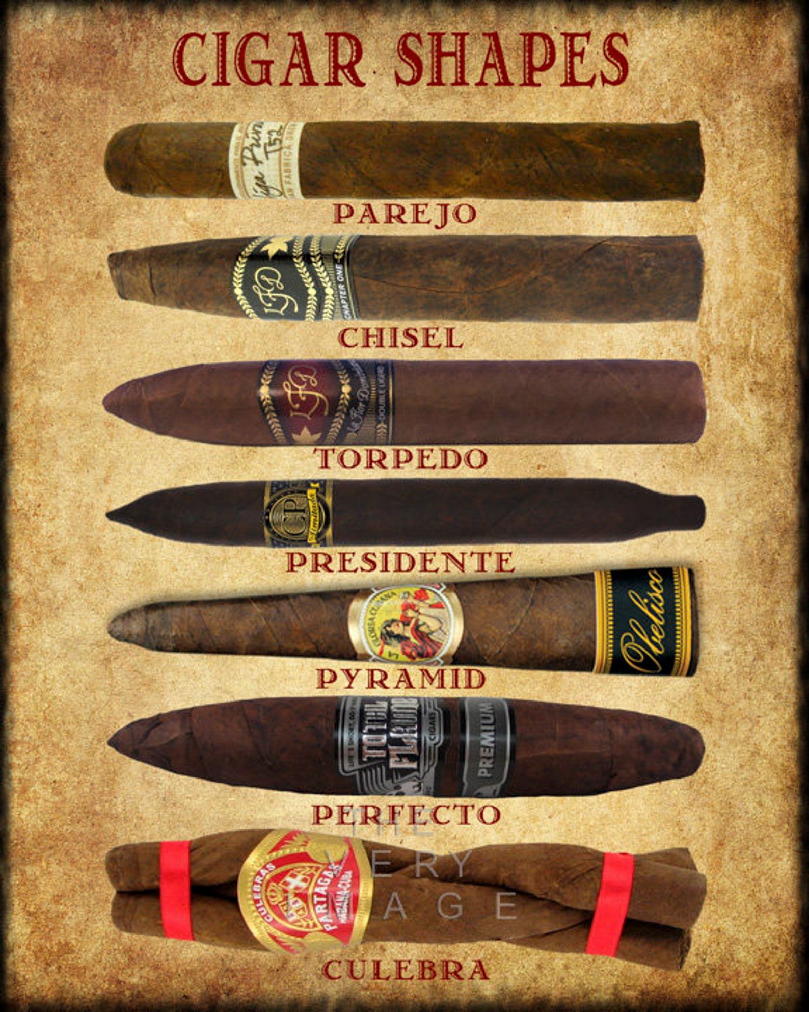 Cigar Art Cigar Shapes Chart Cigar Poster Tobacco Print Etsy